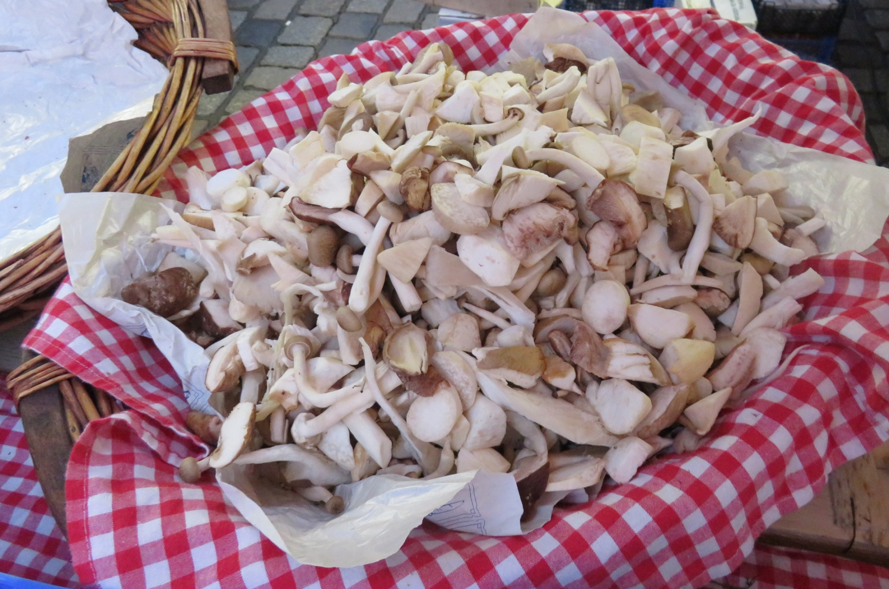 Pilzstand am Markt in Mannheim - Pilzzucht & Pilze in der ...