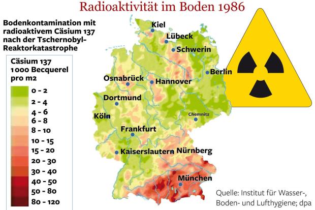 ACHTUNG - NEWS - Tödlich giftig: TRICHOLOMA TERREUM - Pilze und